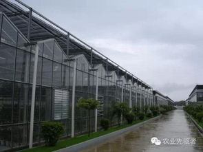 大棚薄膜 現代農業的“隱形金礦”